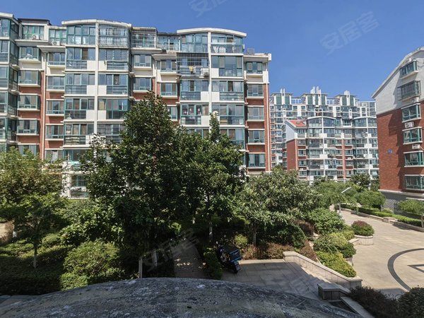 青岛市北浮山后埠西花园电梯房埠西花园套三厅精装全齐实拍4000元10月