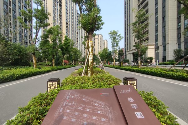 阜阳小区 界首小区 界首小区 锦华花千树 锦华花千树怎么样