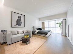 北京朝阳十里堡好房实拍推荐房源 公园1872国际公寓豪华装修一居室出租出租房源真实图片