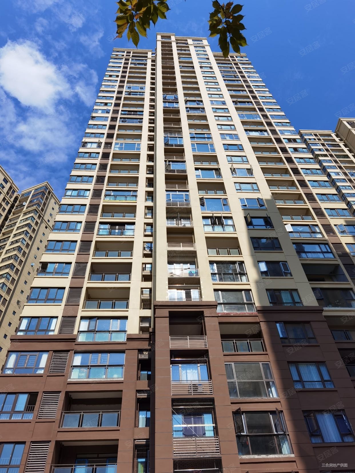 利川南环大道飞洋华府3室2厅2卫