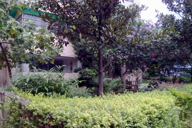 长沙 广福园小区照片 - 安居客