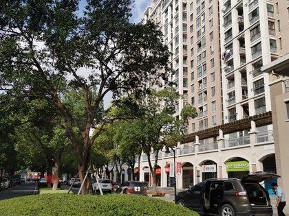 欧洲城,南施街153号 - 苏州欧洲城二手房,租房,房价-苏州安居客