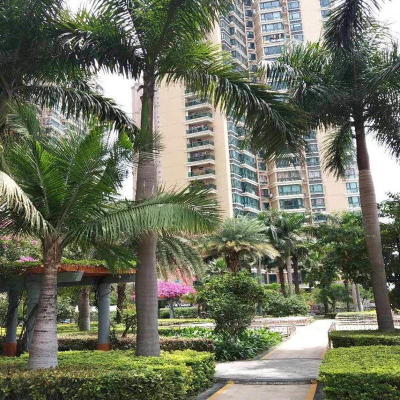 【君临闽江, 君临闽江小区专家解读页】- 福州58同城