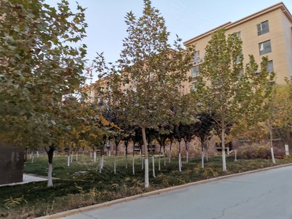 枫丹白露优点,不足,枫丹白露怎么样,枫丹白露周边房产中介经纪人评价