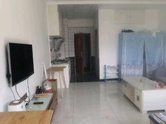 拉萨堆龙德庆拉萨火车站双创广场 精装修 1室0厅1卫 电梯房出租房源真实图片