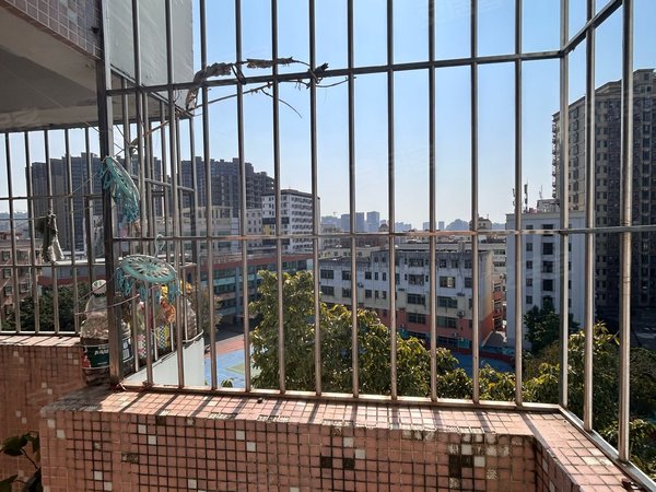 泽州鹤洲新村鹤洲新村 1室1厅1卫出租房源真实图片