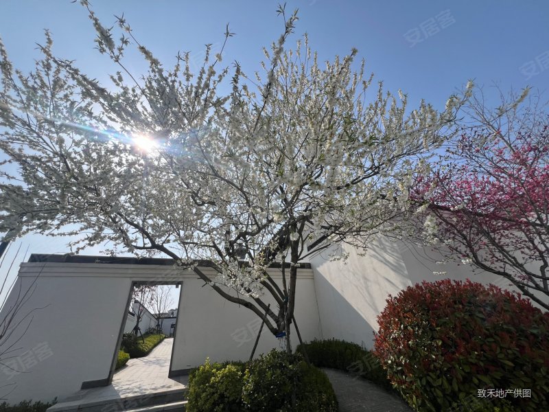 江南合院徽派建筑带装修业主诚心出售大院子