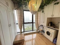 株洲芦淞神龙公园市中心，王府井，中央公馆，精装公寓，家电齐全，随时入住出租房源真实图片