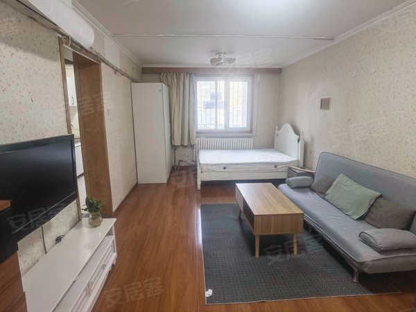 北京西城广安门外乐城红莲南路地铁 乐城小区 一居室整租 一楼 实拍