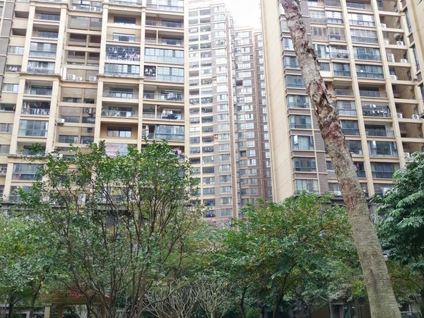 【多图】江川悦城,凤岭北租房,凤岭北 精装三房 招租 东站 万象航洋