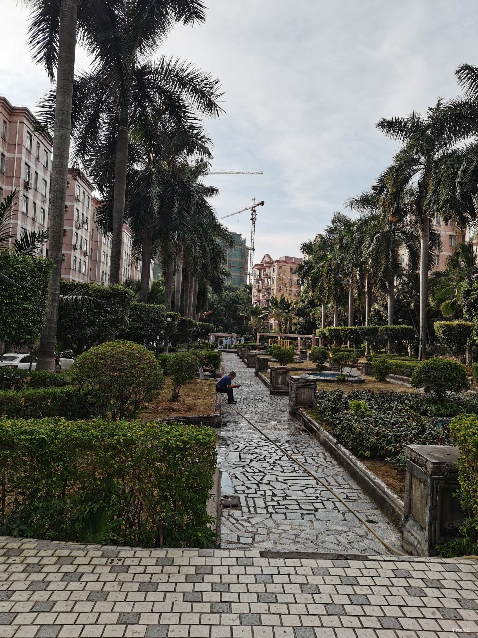 雍景花园楼龄新近医院南北通透小三房