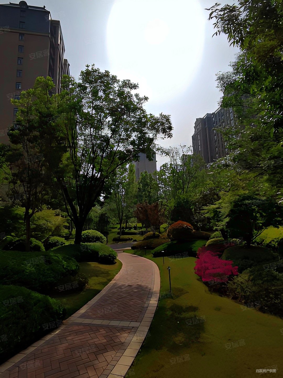 普罗旺世龙之梦东苑