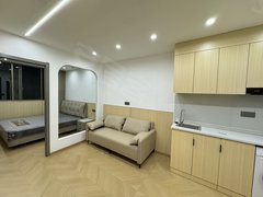 金华婺城婺城江南世贸旁 对家畈精装原木风 单间一室一厅 两室一厅户型多样出租房源真实图片