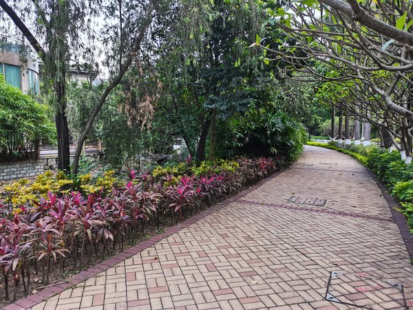 【多图】珊瑚天峰,星河湾租房,万科物业自营 天峰精装四房佶屋出租