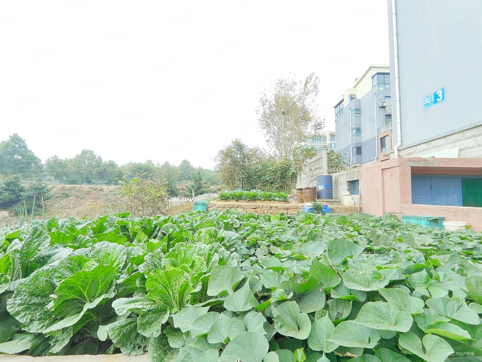 威海房产网>威海二手房>环翠二手房>张村二手房>云海山庄>