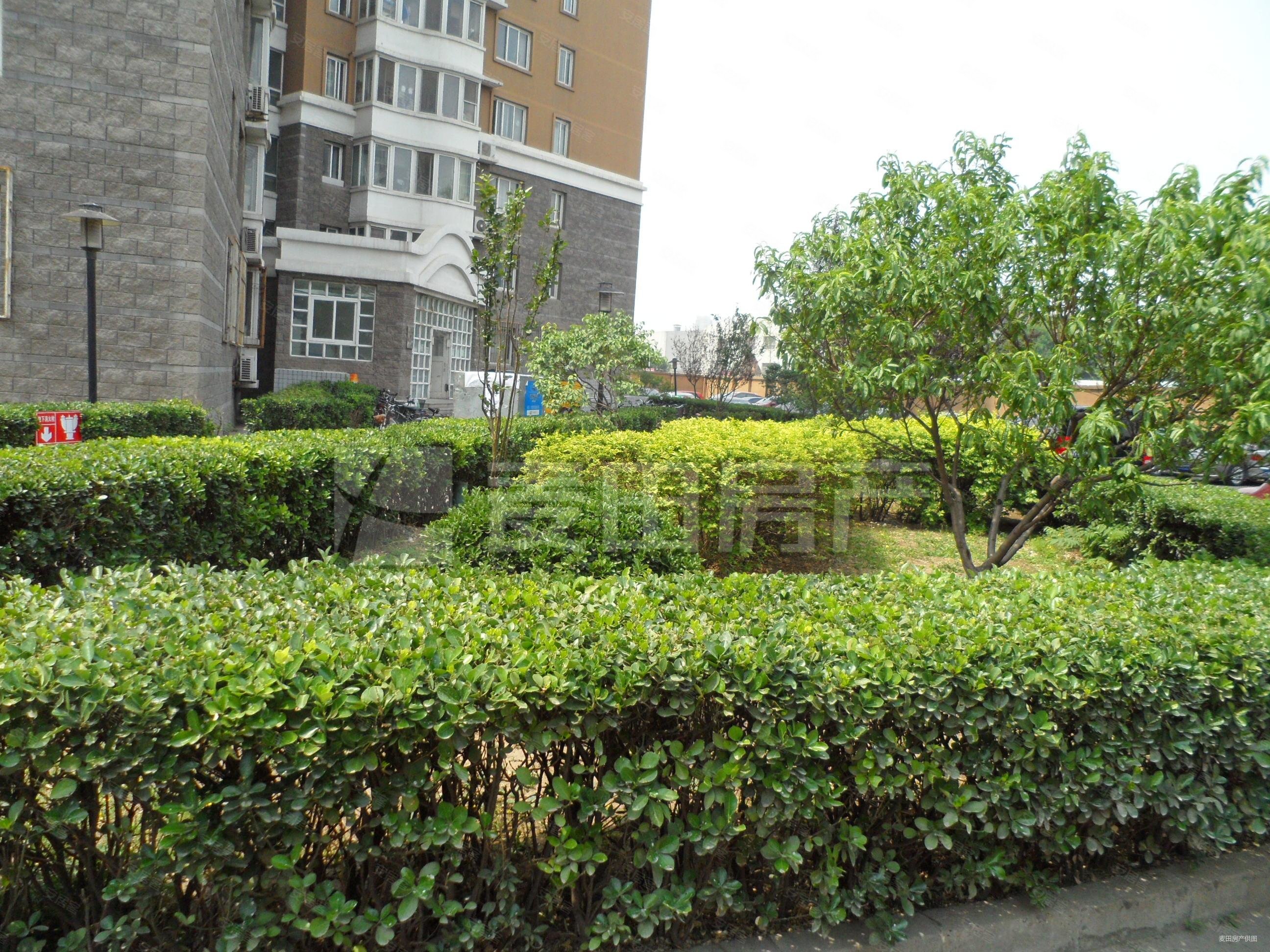 北京房产网>北京二手房>朝阳二手房>奥林匹克公园二手房>澳林春天