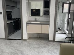 扬中扬中市区市中心天玺一号，2室一厅一卫，精装修，拎包入住，交通方便，随时看房出租房源真实图片