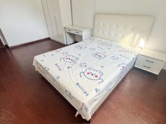 合肥包河中铁四局绿园小区漫乐城平安国际金融中心宝利丰九华国宁国路徽州大道出租房源真实图片