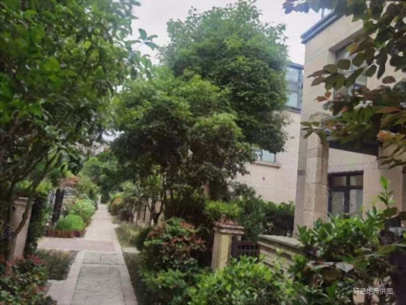 朱家角小别墅!颐湾丽庭!适合老人居住!富氧离子聚集地!急售!