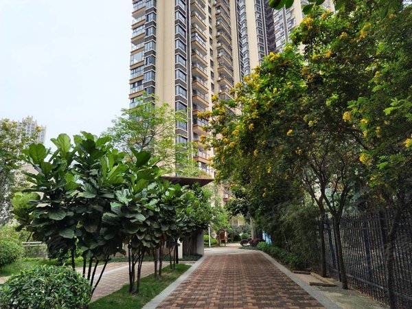 【多图】西城1号,相思湖新区租房,急租一号线地铁口100米,精装3房两卫