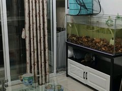 吉安吉州吉安大道阳光新城 2室1厅1卫出租房源真实图片