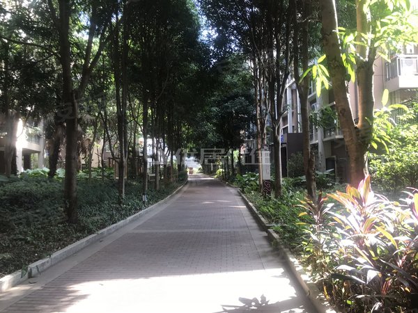 【多图】金桂花园,望州岭租房,金桂花园1室0厅1卫30.