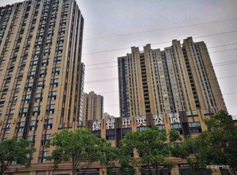 保利中央公园东苑 临地铁 精装好房 商品住宅 朝南 有