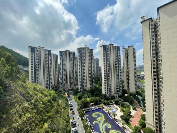 广州增城凤凰城碧桂园云顶凤凰城云顶 四房 全屋定制家具 第一次出租