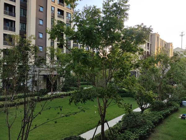 昆山花桥花桥老镇龙光花溪澜园龙光花溪澜园精装3繁房2800出租房源