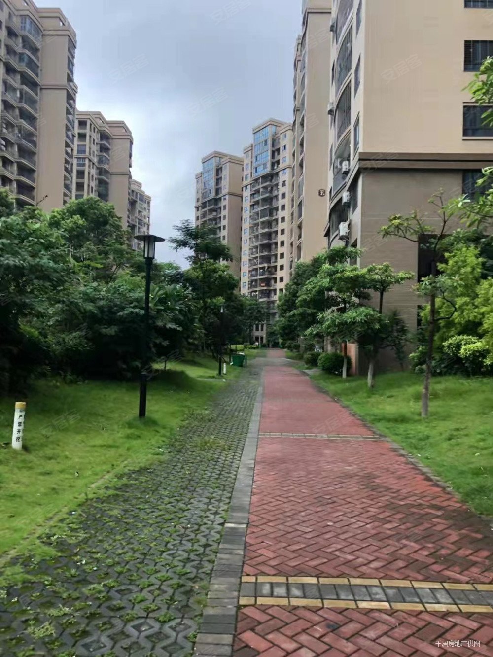 大霞美,121平仅售70万,正规70年,南安商圈,电梯高层,丽景新城二手房