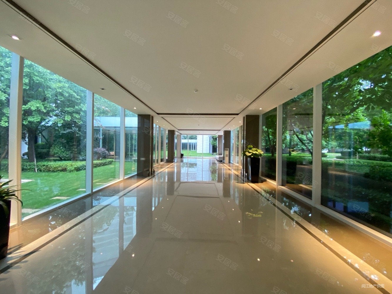 中大国际九号3室2厅237平满二电梯房豪华装修居