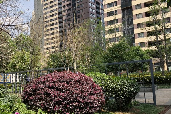 葡萄街区天宇花园