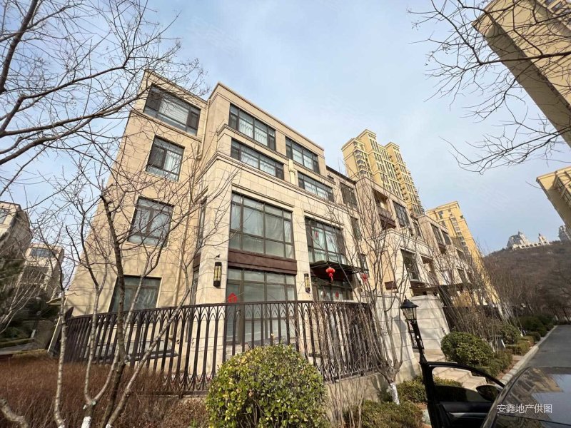 大华诺斐墅 叠拼 地上两层,地下一层带50平花园买房3000