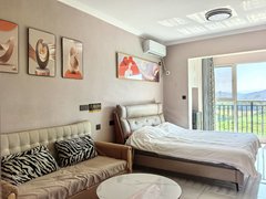 西双版纳景洪嘎洒城区雨林源筑(1期)公寓拎包入住！出租房源真实图片