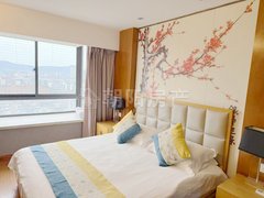 淮南田家庵淮南时代广场商贸附近圣地新都会 精装公寓租金1000家具家电齐全出租房源真实图片