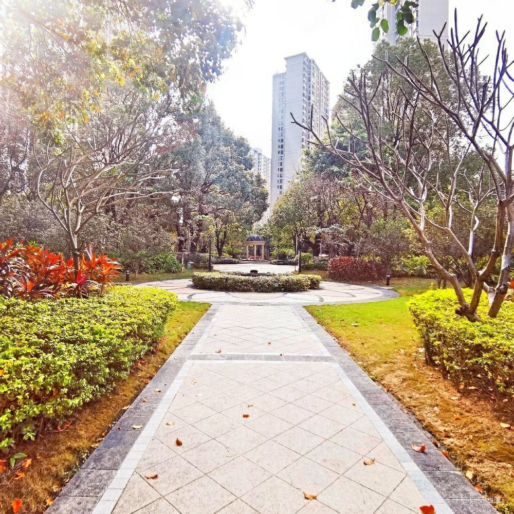 东莞房产网>东莞二手房>南城二手房>西平二手房>中信森林湖>