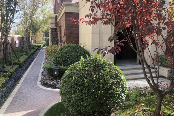 金地艺墅家(别墅)