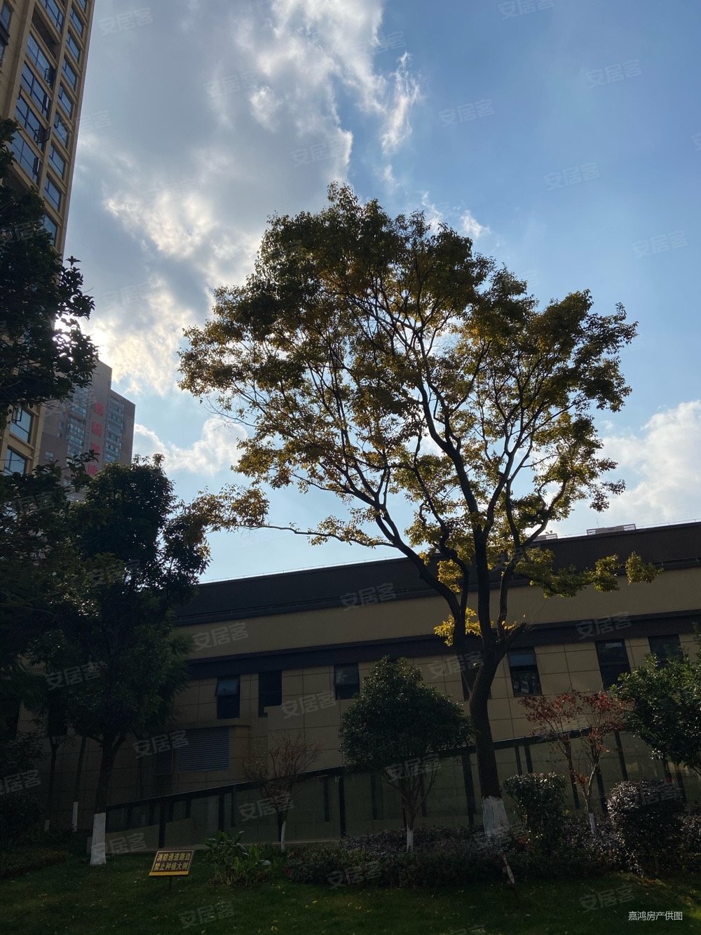 南市区麒麟嘉城旁边锦林花园精装3房单元房满2年