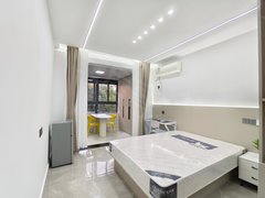 苏州工业园车坊东方文荟苑 地铁口公寓 精装一室一厨一卫，近桑田岛华为基地出租房源真实图片