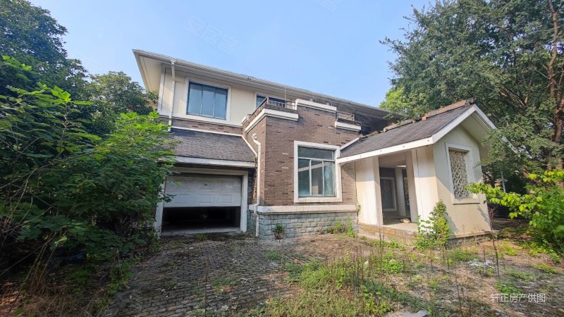 新森林别墅昆山天花板别墅区独栋占地15亩