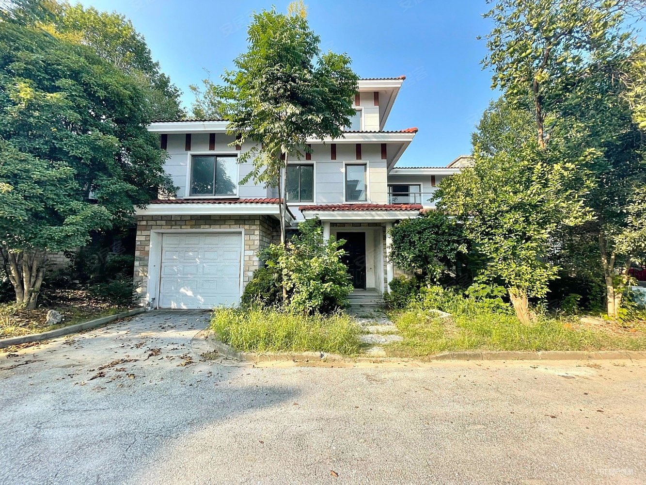 丰泽园新出南临河独栋别墅花园一亩地户型好有钥匙随时