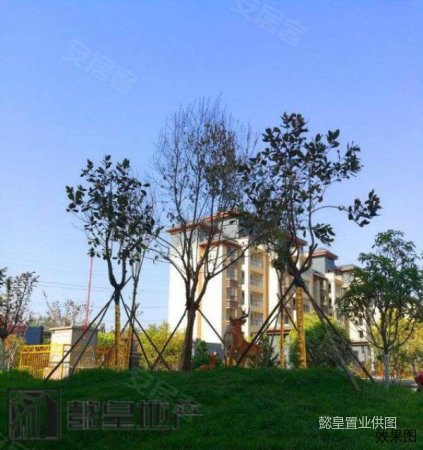 【多图】洛阳小高层 小洋房 一梯三户 低公摊 东