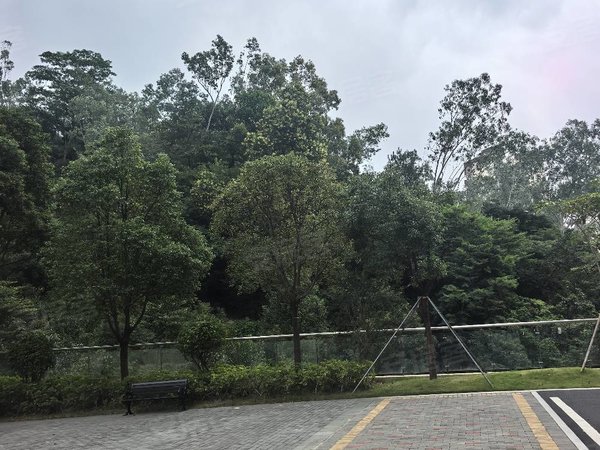 深圳龙岗龙城国际清林半山花园万科青林半山花园两房改3房的朝正南