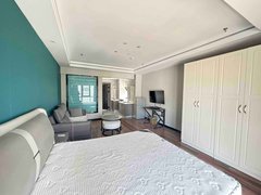 信阳羊山新区恒大名都公园春晓 1室1厅1卫 配套齐全 45平 精装修出租房源真实图片