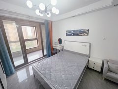 吴江汽车站精装单身公寓 可短租月付 近万宝吴江开发区文化公园