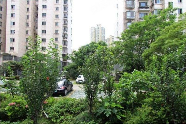 绿色丽园(667弄)怎么样,绿色丽园(667弄)周边房产中介经纪人评价-上海