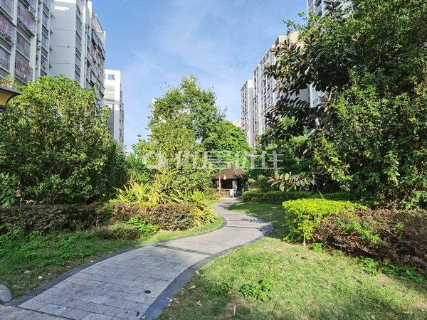 【多图】凤岭春天,凤岭北租房,地铁口,精装配齐大三房诚意出租,青秀