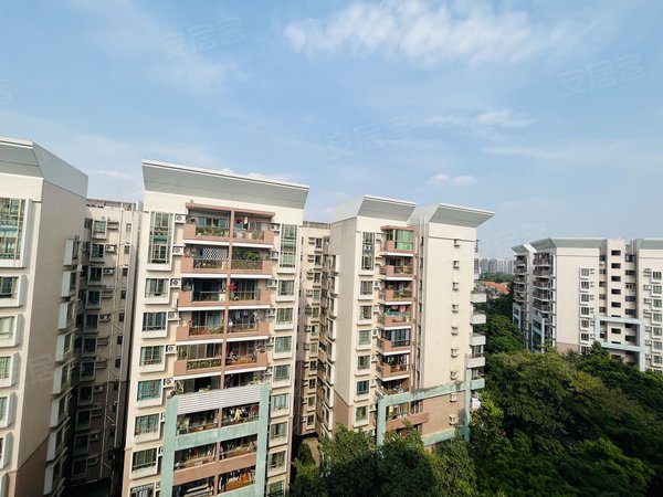 广州番禺南浦丽江花园九如通津南浦  a口 电梯房 精装出租 高层出租