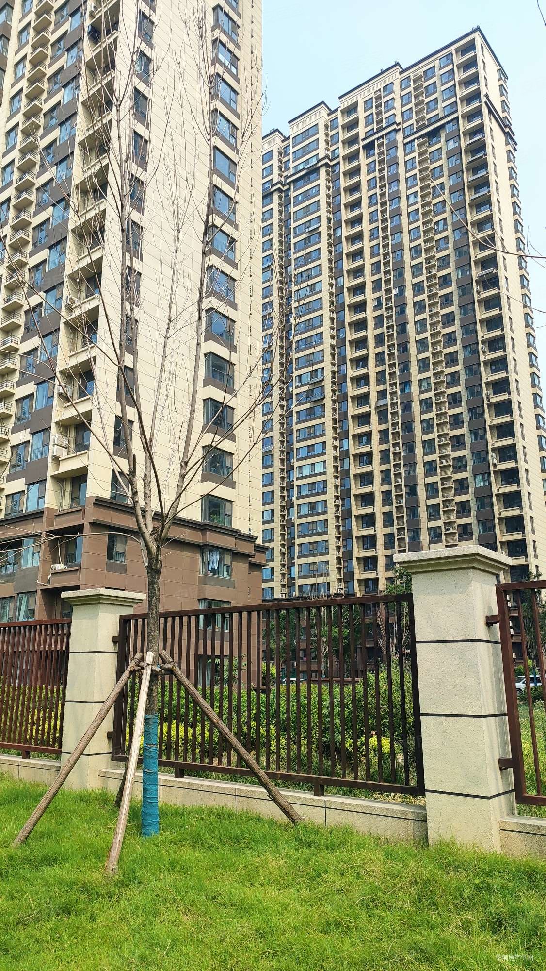 带车位储藏室,东关国际东区二手房,145万,3室2厅,1卫,116平米-聊城