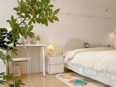 阳江江城新都汇文华新天地复式一房一厅，交通方便，拎包入住。出租房源真实图片